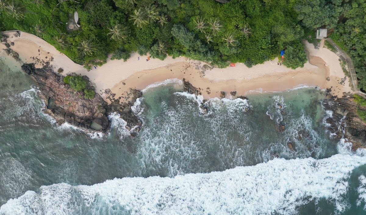 Sri lanka, vlny, piesok, palmy