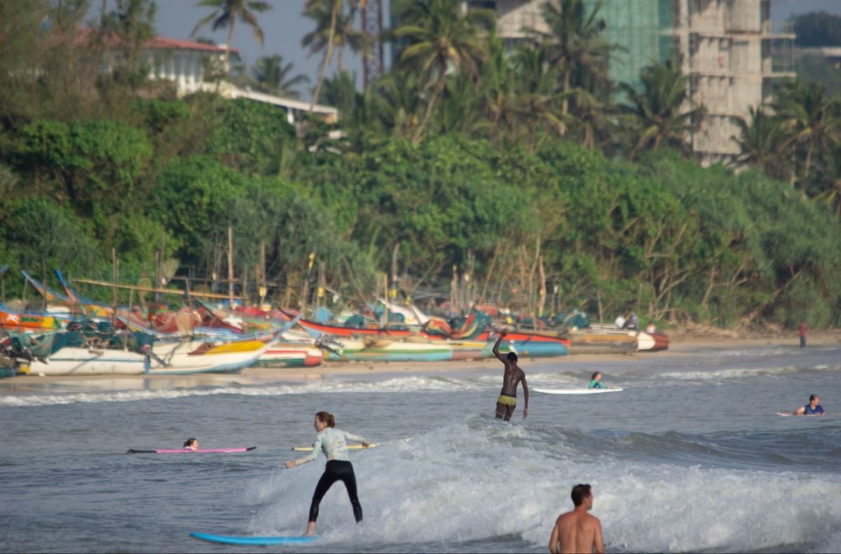 Surferi, Weligama, palmy
